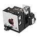  : SHRANXR20LP - Replacement Lamp for Sharp XR20X/XR20S Multimedia Projectors