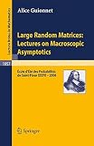 Large random matrices : lectures on macroscopic asymptotics : École d'Été de Probabilités de Saint-Flour XXXVI - 2006