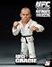 UFC Ultimate Collector - Royce Gracie
