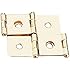 2" Double-Action Hinges, Polished Brass Plated (Pair)