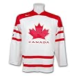 Team Canada 2010 Olympic Swift Replica White Hockey Jersey