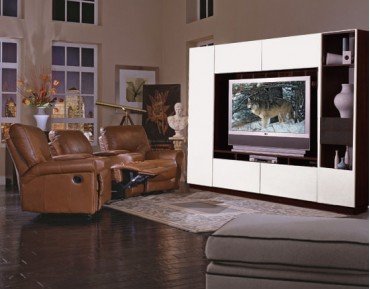 Ardin Furniture 21056-22253 Entertainment Center and Wall Unit IcOn Furniture Collection 