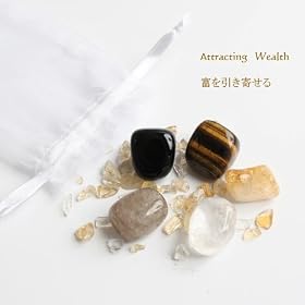 5�̊肢 Fortune Bag �M�t�g Attracting�@Wealth �p���[�X�g�[��