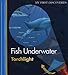 Fish Underwater (My First Discoveries/Torchlight)
