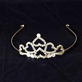 Princess Queen Tiara Fancy Dress Costume Accessory