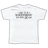 I Used To Be Schizophrenic T-Shirt Funny, Humor & Parody Shirt