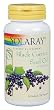 Solaray - Black Currant Seed Oil, 600 mg, 90 softgels