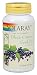 Solaray - Black Currant Seed Oil, 600 mg, 90 softgels