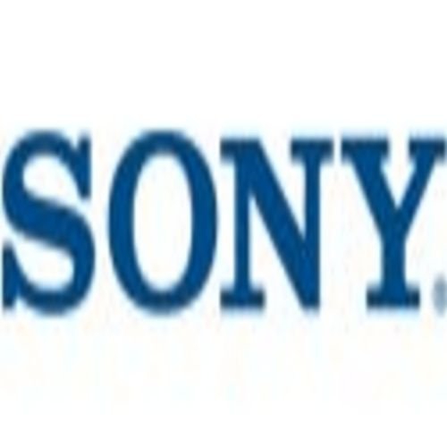 Sony SSC-DC593 - CCTV camera - color - 13 - CS-mount - auto iris - 480 TVL - DC 12 V AC 24 V