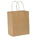 Duro 87097 Paper Tempo Small Retail Shopping Bag, 8" Width x 10-1/4" Height, Brown (Pack of 250)