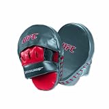 UFC Punch