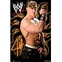 John Cena (Flexing) Sports Poster Print - 24" X 36"