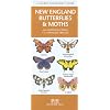 New England Butterflies & Moths: An Introduction to Familiar Species (Regional Nature Guides)