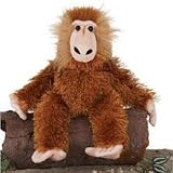 Sitting Baboon 12