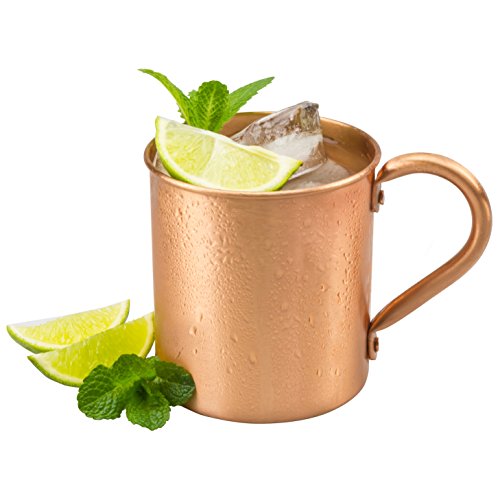 Ginger Beer Moscow Mules Camping For Foodies