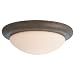 41ByhUIbucL. SL75  Ceiling Fan Light Kit in Old Chicago