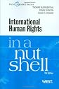 International Human Rights in a Nutshell