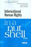 International Human Rights in a Nutshell