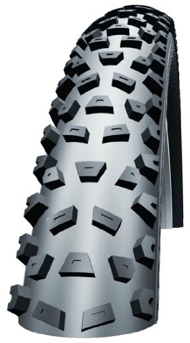 Schwalbe MTB-Reifen ALBERT Performance, black-skin, 26x2.35, 11100121 Preisvergleich