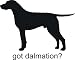 Got dalmation - Removeavle Vinyl Wall Decal - Selected Color: Navy Blue - Want different color ? select from 24 colors in 