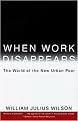 When Work Disappears (The World of the New Urban Poor) (Reprint) (Paperback)