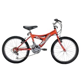 20 MTB, Hi-Ten Steel Frame, 12-SPD Bicycle