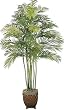 78" Areca Palm Tree with 7 Trunks