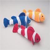Clown Fish