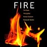 Fire: The Spark That Ignited Human Evolution