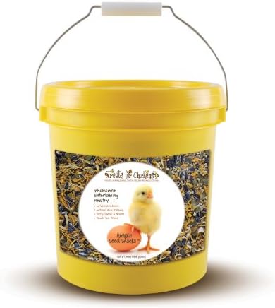 Treats for Chickens Pumpkin Seed Snack, 4-Pound