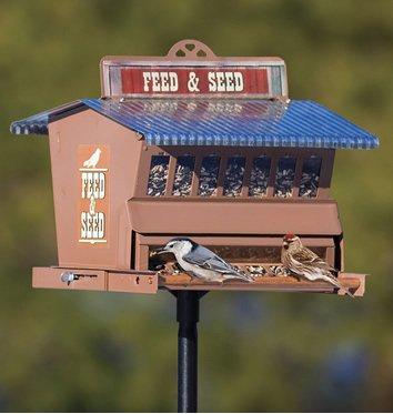 Squirrel-Proof Feed & Seed Feeder