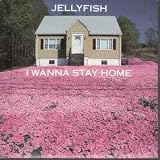 I WANNA STAY HOME 7" (45)