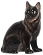 Ceramic Pottery Angora Black Cat Bank Approx. 7.5"H