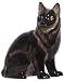 Ceramic Pottery Angora Black Cat Bank Approx. 7.5"H