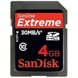 SanDisk 4GB Extreme SDHC Class 10 High Performance Memory Card (SDSDX3-004G, Bulk Package)