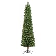 5' x 20" Midland Pole Pine 100CL
