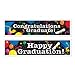 Graduation Banners (asstd designs) Party Accessory  (1 count) (2/Pkg)