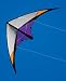 Addiction Dual line Stunt Kite
