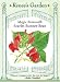 Magic Beanstalk Heirloom Runner Bean Seeds 20 Seeds