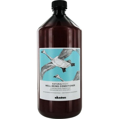 Davines Natural Tech Well-Being Conditioner, 33.8 Ounce