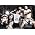 Thumbnail image of New Found Glory