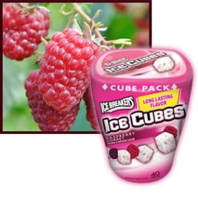 Ice Breakers Ice Cubes Sugar Free Raspberry Sorbet Gum