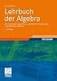 Lehrbuch der Algebra: Mit lebendigen Beispielen, ausf�hrlichen Erl�uterungen und zahlreichen Bildern