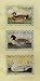 American Wigeon, Green Winged Teal And S by David Carter Brown - Fine Art Print / Poster - 10.00 x 20.00
