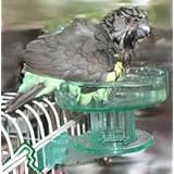 Lixit Quick Lock Bird Bath