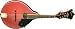 Washburn  M1SDLTR Mandolin