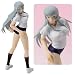Ikki Tousen Chouun Gym Suit Statue Sculpture_s-1