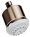 Hansgrohe Club Master Shower Head, Oil Rubbed Bronze #28496621