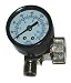 DeVilbiss AIR ADJUSTING VALVE WITH GAUGE 0-160 PSI