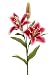 Club Pack of 24 Artificial Pink Day Lily Silk Flower Sprays 21" Club Pack of 24 Artificial Pink Day Lily Silk Flower Sprays 21"